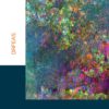 Les couleurs de ta nuit